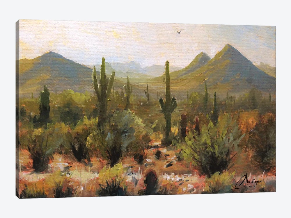 Morning At Lost Dog Wash Trail by Christopher Clark 1-piece Canvas Art Print