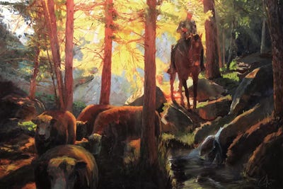 Rough Terrain by Christopher Clark framed wall art