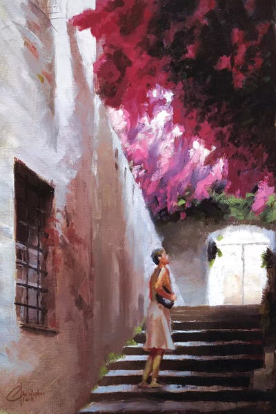 The Bougainvillea by Christopher Clark framed wall art