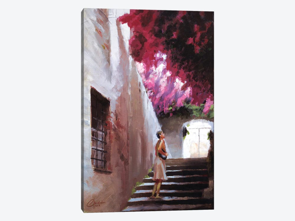 The Bougainvillea by Christopher Clark 1-piece Canvas Wall Art