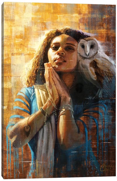 The Goddess Of Wisdom Canvas Art Print - Illuminated Oil Paintings