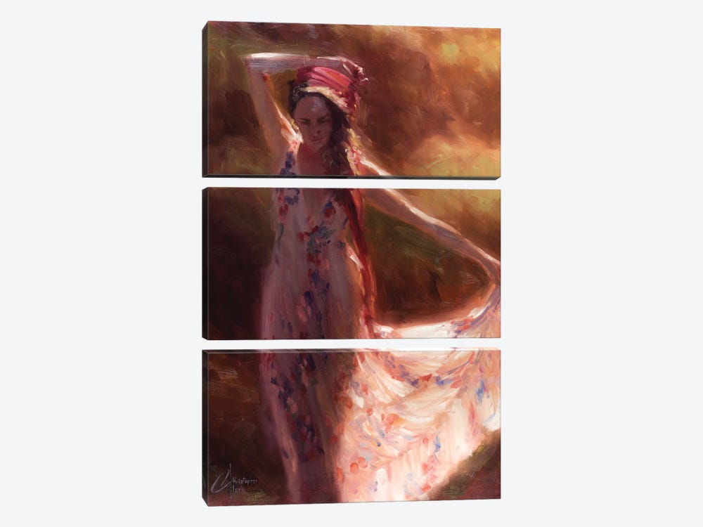 The Red Scarf by Christopher Clark 3-piece Canvas Artwork