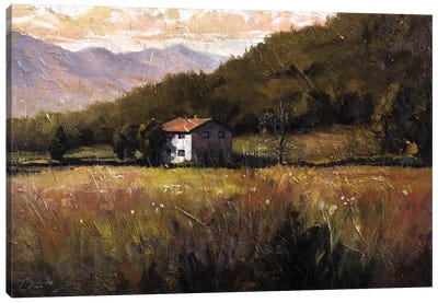 Tuscany, Italy, Walking To The Rose Field I Canvas Art Print - Christopher Clark