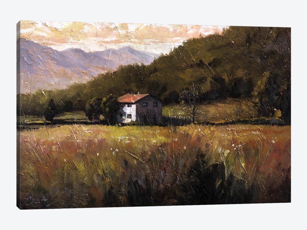 Tuscany, Italy, Walking To The Rose Field I by Christopher Clark 1-piece Canvas Artwork
