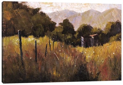 Tuscany, Italy, Walking To The Rose Field II Canvas Art Print - Christopher Clark