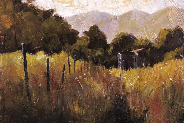 Christopher Clark: Tuscany, Italy, Walking To The Rose Field II by Christopher Clark