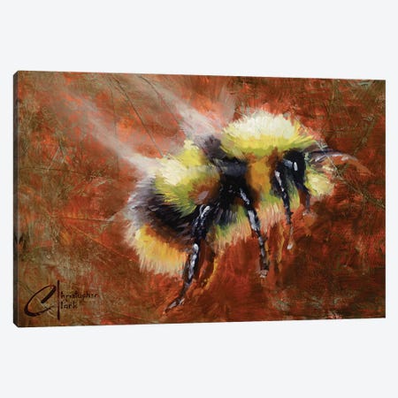 Abstract Form Study - Bee Canvas Print #CCK92} by Christopher Clark Canvas Art Print