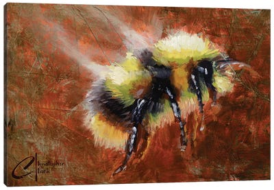 Abstract Form Study - Bee Canvas Art Print - Christopher Clark