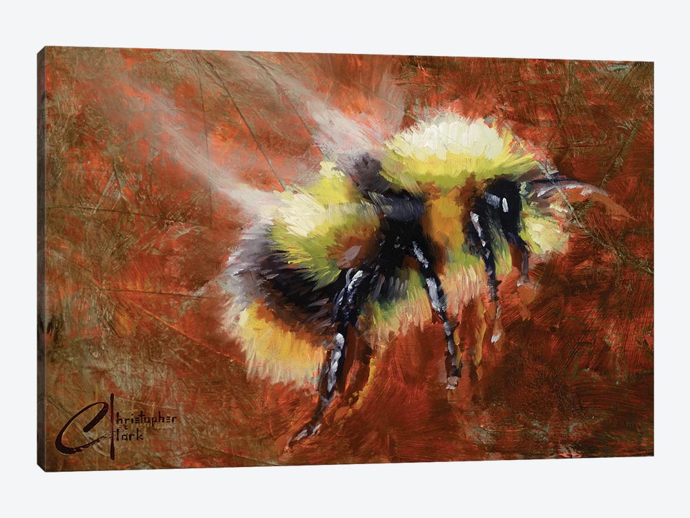Abstract Form Study - Bee by Christopher Clark 1-piece Canvas Art Print