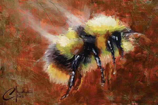 Bees: Abstract Form Study - Bee by Christopher Clark