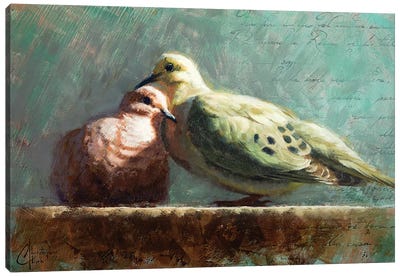 Doves In Love Canvas Art Print - Christopher Clark