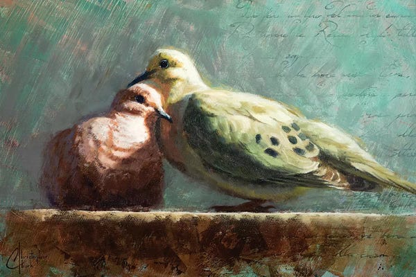 Doves & Pigeons: Doves In Love by Christopher Clark