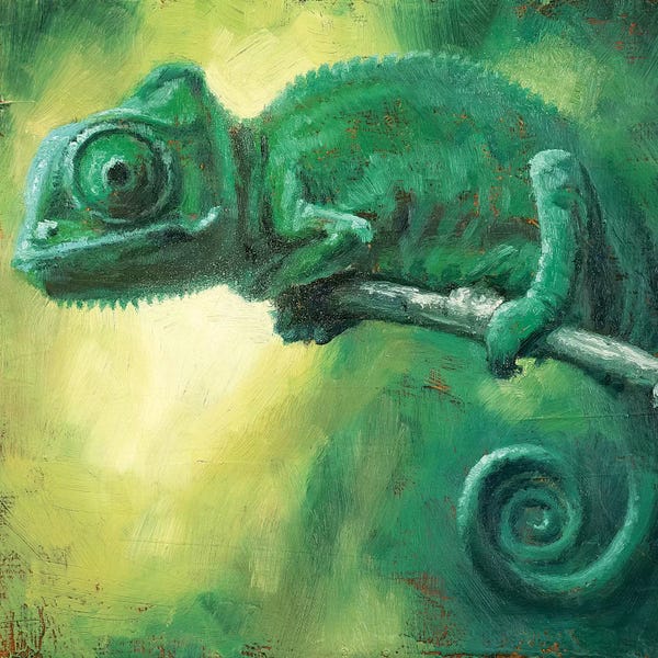 Chameleons: You Can't See Me by Christopher Clark