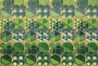 Adapting To The Surroundings by Cory Clifford canvas print