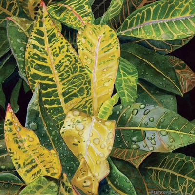 After The Rain by Cory Clifford framed wall art