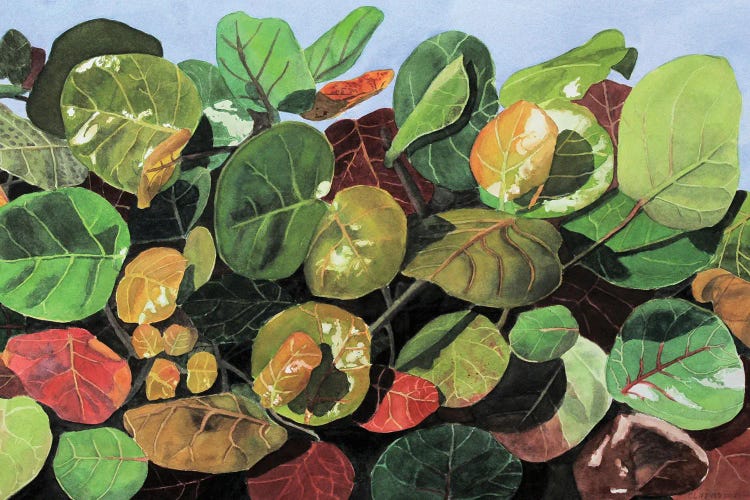 Transformation Of Color by Cory Clifford wall art