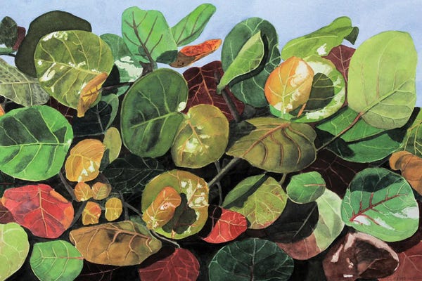 Cory Clifford: Transformation Of Color by Cory Clifford