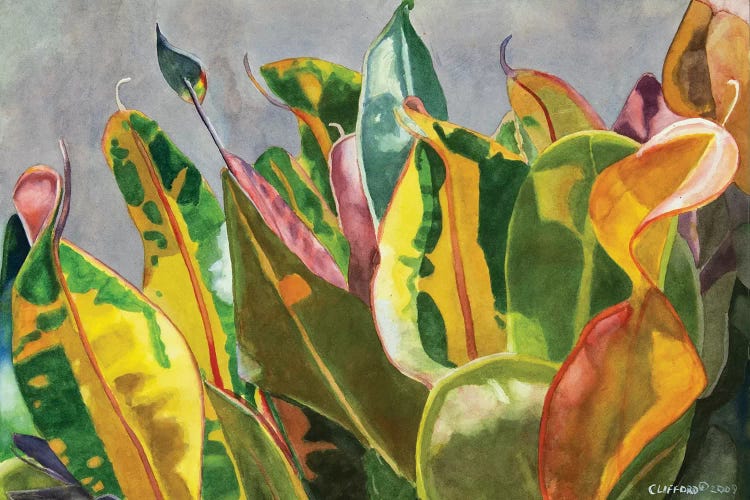 Dancing In The Sunlight by Cory Clifford wall art