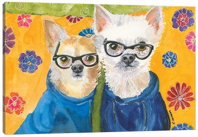 Chihuahuas In Blue Canvas Art Print - Connie Collum