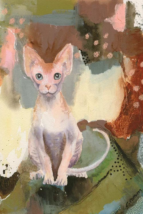 Forest Sphynx by Connie Collum wall art