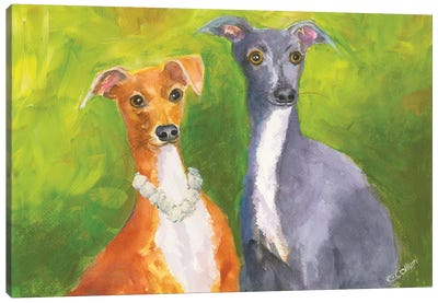 Friend Of Mine Canvas Art Print - Italian Greyhounds