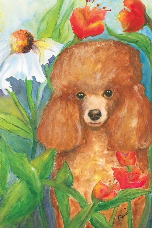 Garden Poodle by Connie Collum wall art