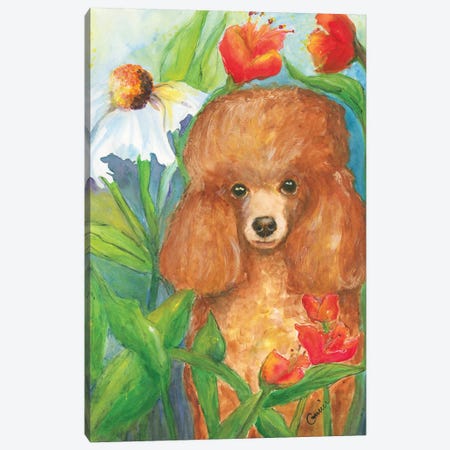 Garden Poodle Canvas Print #CCM22} by Connie Collum Canvas Art