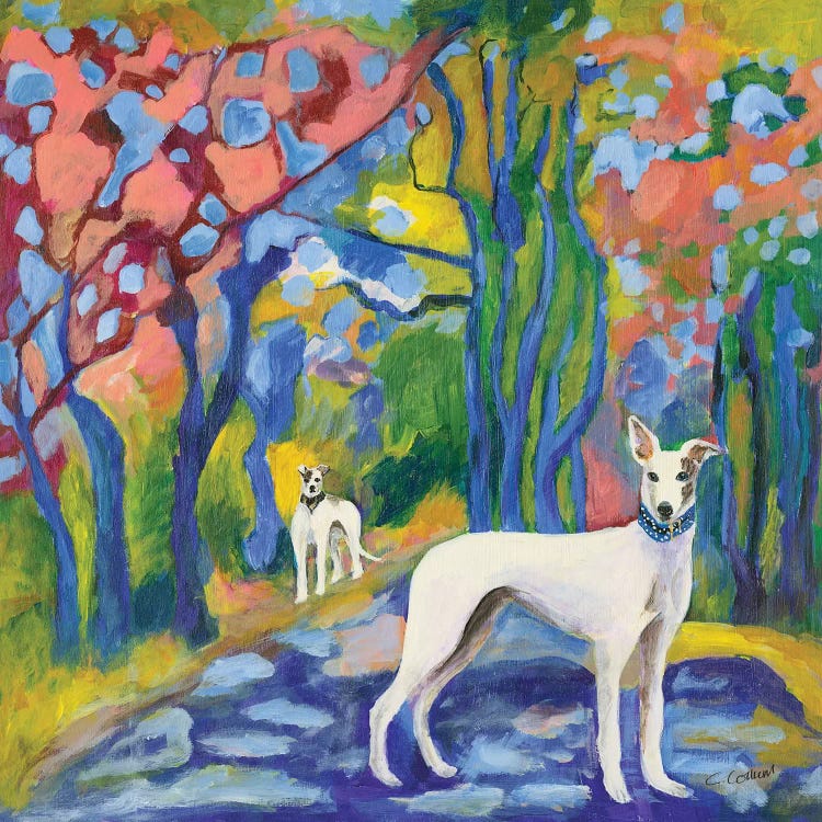 Greyhound Stroll by Connie Collum wall art