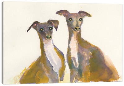 Italian Greyhounds, The Lovliest Of The Hounds Canvas Art Print - Italian Greyhounds