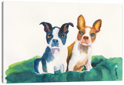 Let's Sit Together Canvas Art Print - Boston Terrier Art