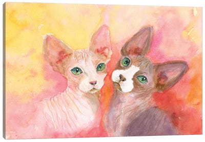 Love A Sphynx Canvas Art Print - Hairless Cat Art