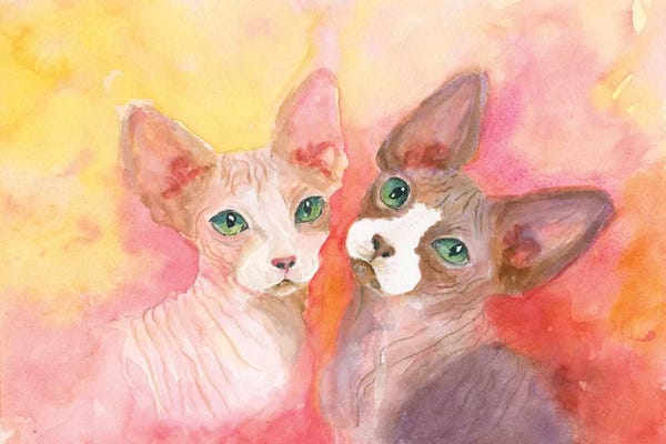 Connie Collum: Love A Sphynx by Connie Collum