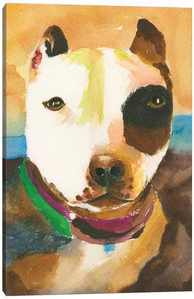 Pit Bull No. 1 Canvas Art Print - Connie Collum