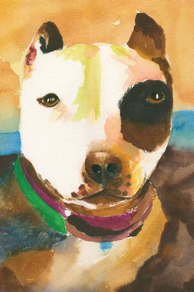 Pit Bulls: Pit Bull No. 1 by Connie Collum