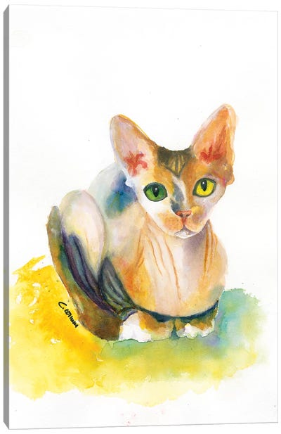 Sphynx On Yellow Pillow Canvas Art Print - Hairless Cats