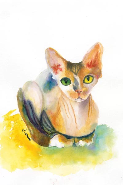 Hairless Cats: Sphynx On Yellow Pillow by Connie Collum