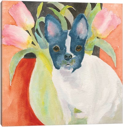 Tulip Frenchie Canvas Art Print - Connie Collum