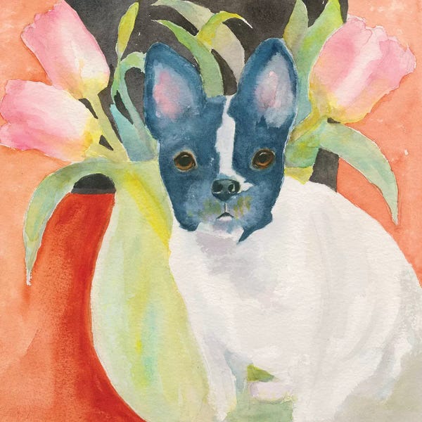 French Bulldogs: Tulip Frenchie by Connie Collum