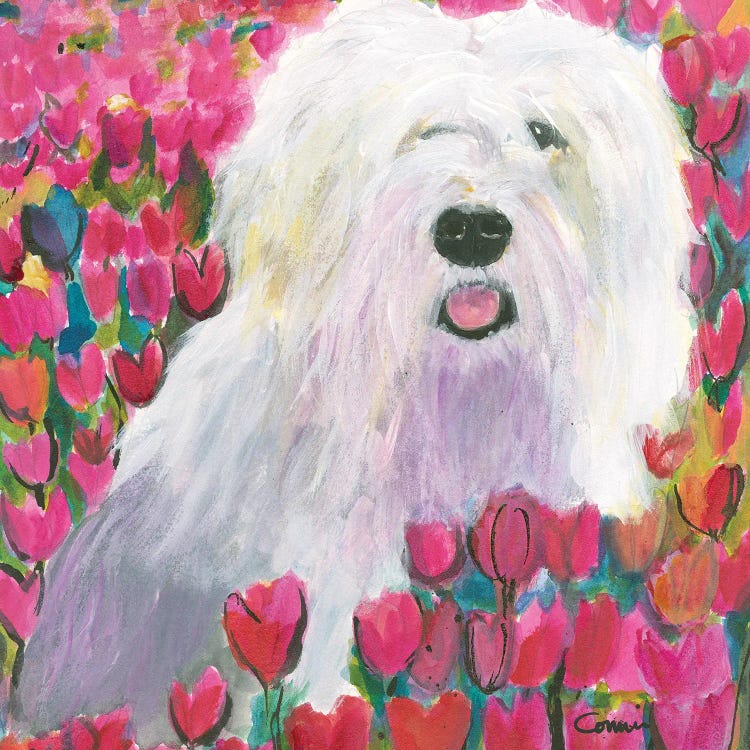 Sheepdog In Tulip Field by Connie Collum wall art
