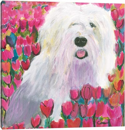 Sheepdog In Tulip Field Canvas Art Print