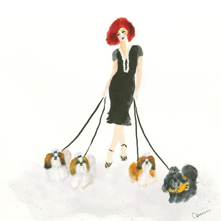 Shih Tzu Stroll