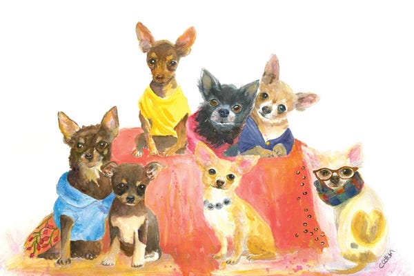 Chihuahuas: Chihuahuas Have My Heart by Connie Collum