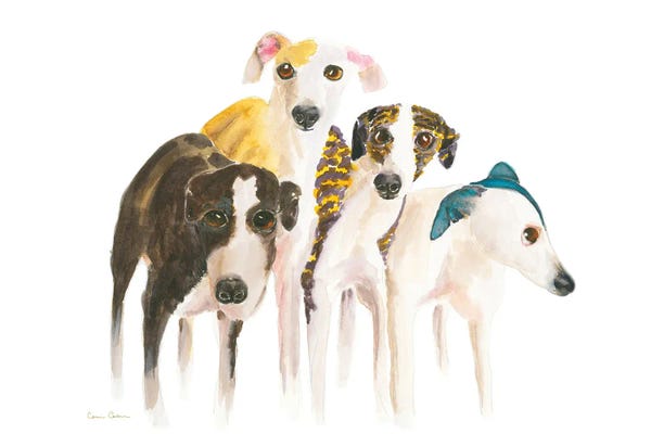 Italian Greyhounds: I Call It Love by Connie Collum