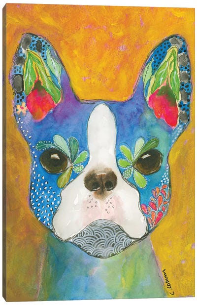 Boston Blue Canvas Art Print - Boston Terrier Art