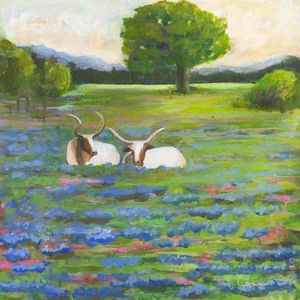 Bulls: Blu And Barberry Resting by Connie Collum