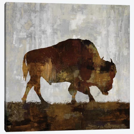 Bison Canvas Print #CCO2} by Carl Colburn Art Print