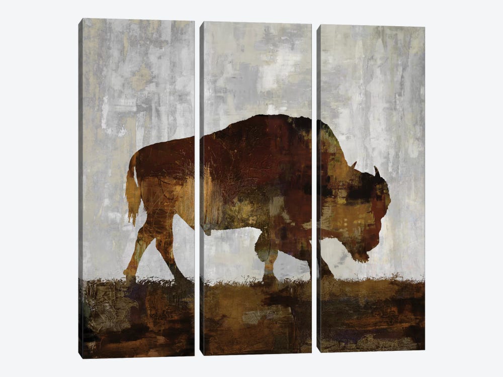 Bison by Carl Colburn 3-piece Canvas Wall Art