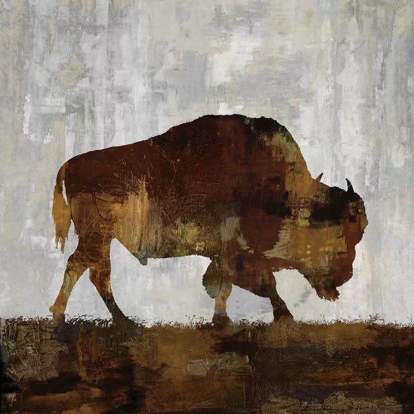 Rustic Décor: Bison by Carl Colburn
