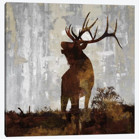 Elk Canvas Print #CCO3} by Carl Colburn Art Print
