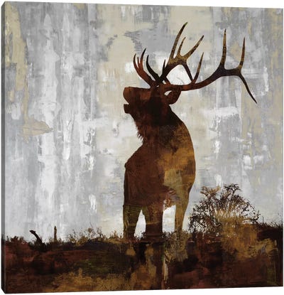 Elk Canvas Art Print - Deer Art